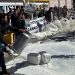 Ganaderos de vacuno de leche de Bóveda, Paradinas y Alaraz protestan en Salamanca por la bajada de precios en los contratos