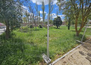 La zona «selvática» y vallada en el parque peñarandino de Los Jardines: el Ayuntamiento asegura que pertenece a la Junta